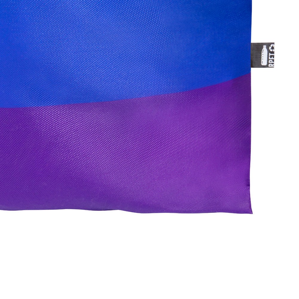 V1110-99_IDE01