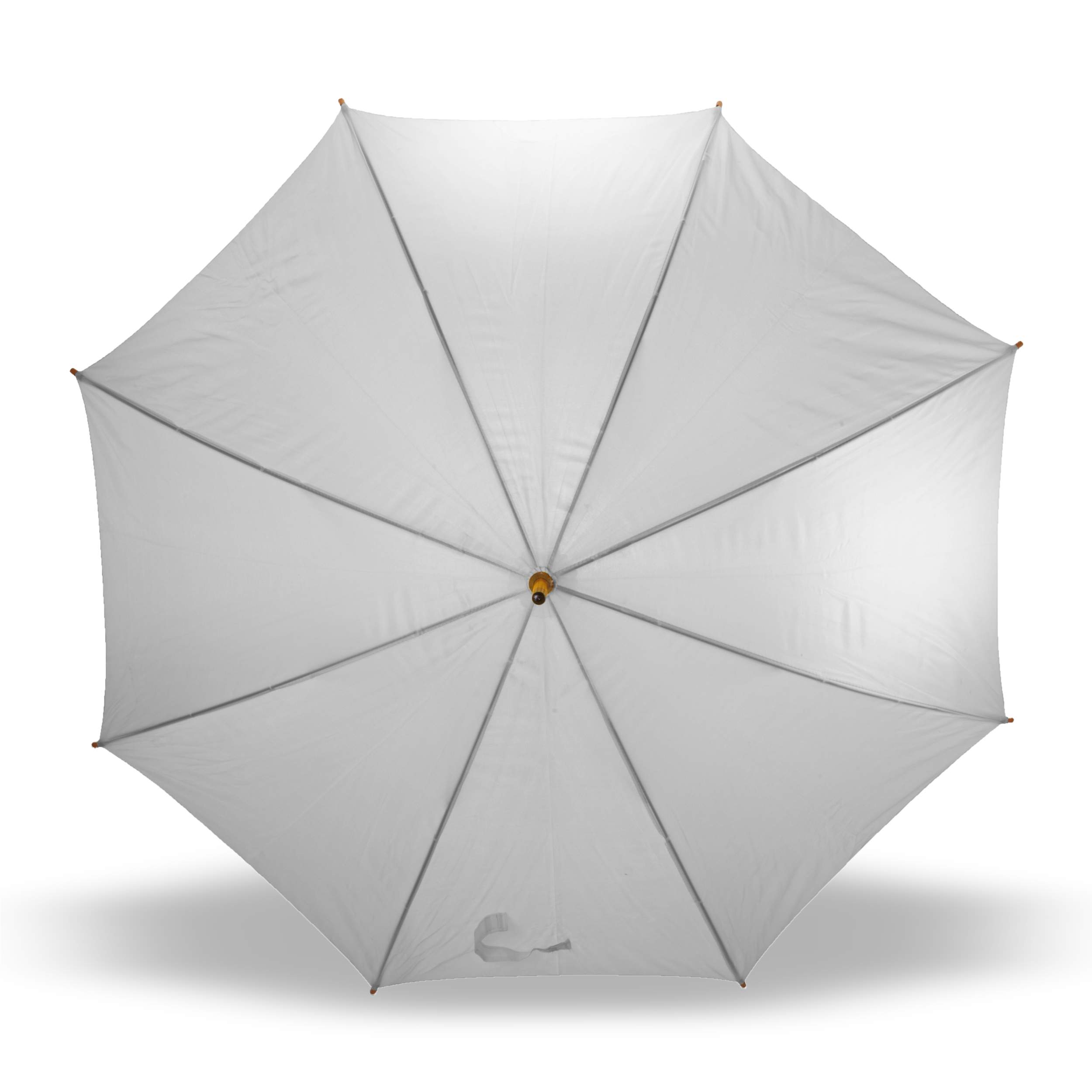 V4201_05_B_cien