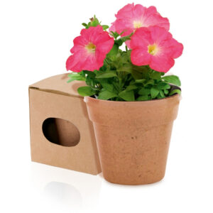 Blumentopf mit Samen "Toni"