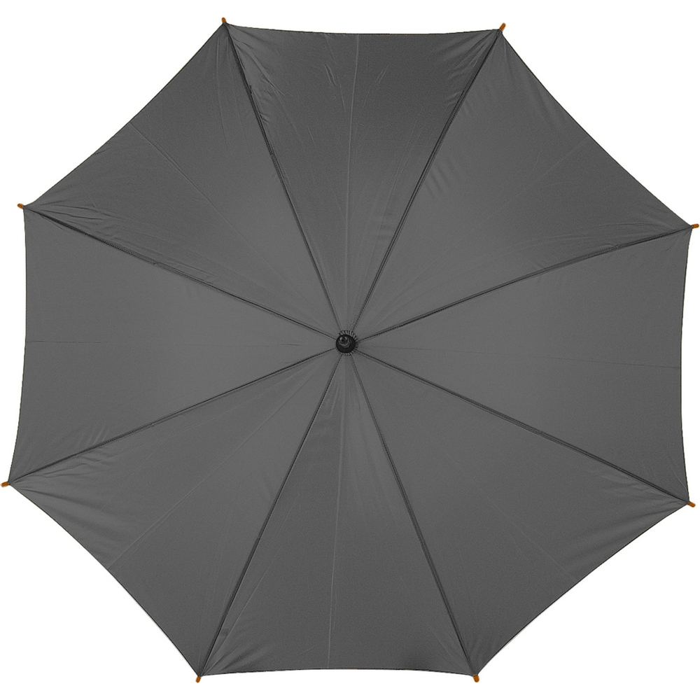 V4232-19_IPN01