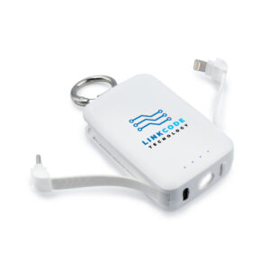 Powerbank 4000 mAh, Karabiner und 1W-Licht | Dimetrice